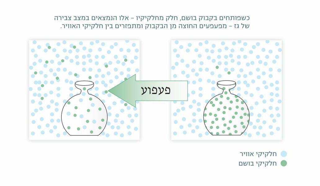 (בספר תרשים של התפזרות החלקיקים מבקבוק בושם לאוויר)